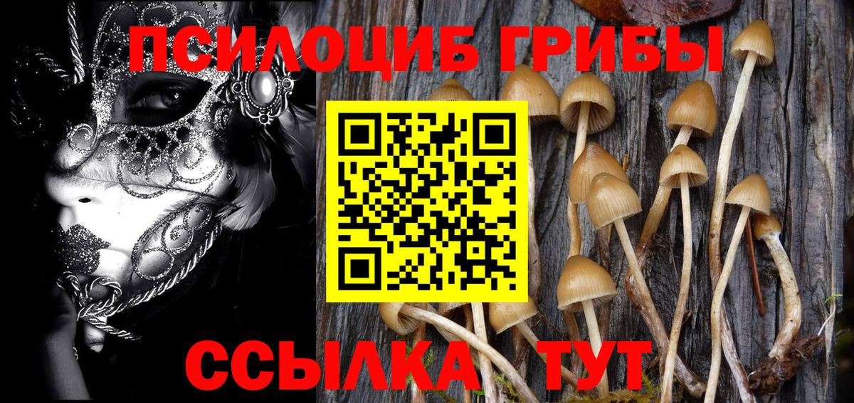 Уварово  Галлюциногенные грибы Psilocybine cubensis  Вход с VPN 